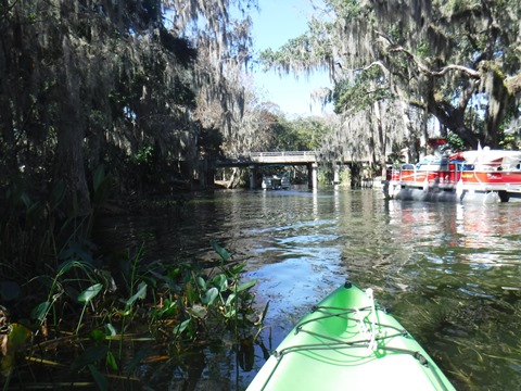 paddling Dora Canal, kayak, canoe