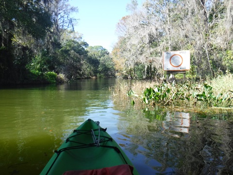 paddling Dora Canal, kayak, canoe