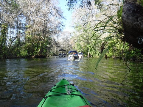 paddling Dora Canal, kayak, canoe