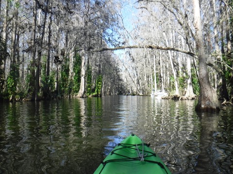 paddling Dora Canal, kayak, canoe