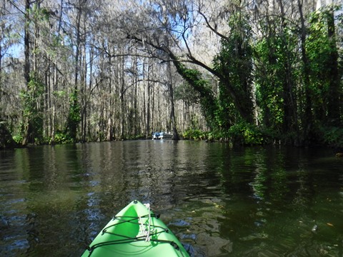 paddling Dora Canal, kayak, canoe