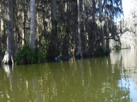 paddling Dora Canal, kayak, canoe
