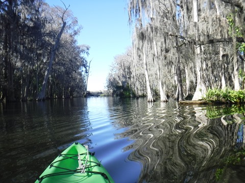 paddling Dora Canal, kayak, canoe