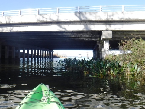 paddling Dora Canal, kayak, canoe