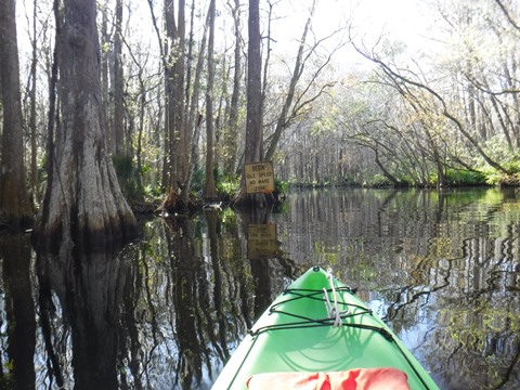 paddling Dora Canal, kayak, canoe