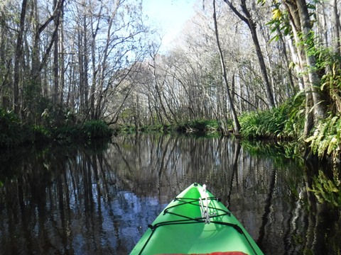 paddling Dora Canal, kayak, canoe