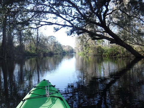 paddling Dora Canal, kayak, canoe