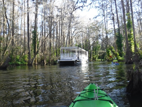 paddling Dora Canal, kayak, canoe