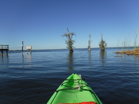 paddling Dora Canal, kayak, canoe