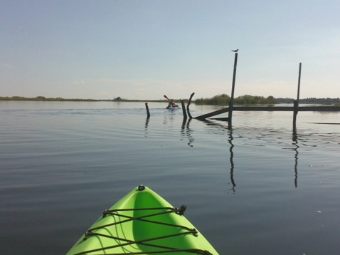 paddling Econlockhatchee River, kayak, canoe