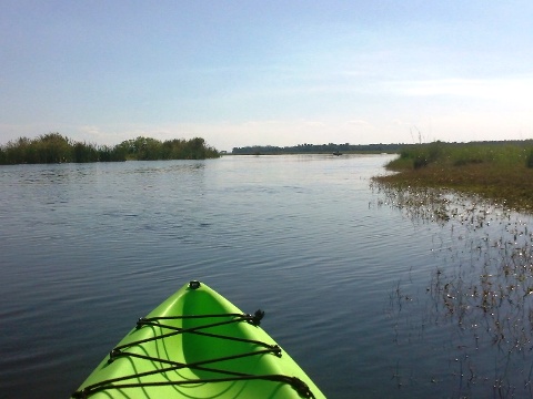 paddling Econlockhatchee River, kayak, canoe