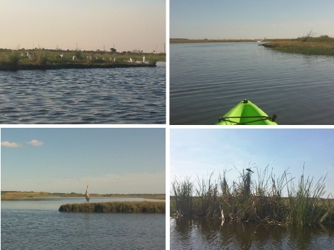 paddling Econlockhatchee River, kayak, canoe