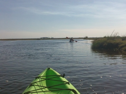 paddling Econlockhatchee River, kayak, canoe