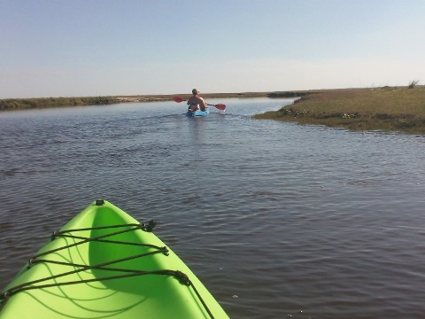 paddling Econlockhatchee River, kayak, canoe