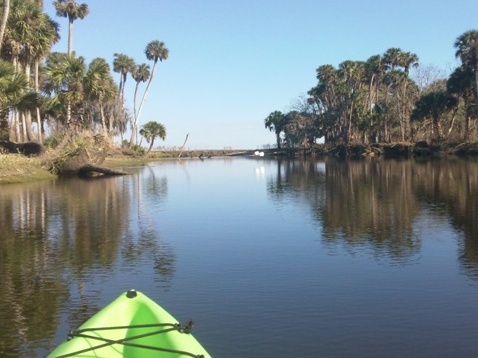 paddling Econlockhatchee River, kayak, canoe