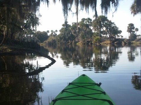 paddling Econlockhatchee River, kayak, canoe