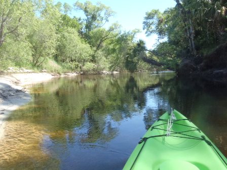 paddling Econlockhatchee River, kayak, canoe