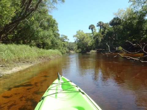 paddling Econlockhatchee River, kayak, canoe