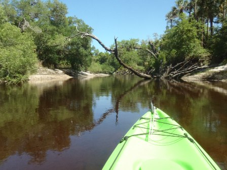 paddling Econlockhatchee River, kayak, canoe