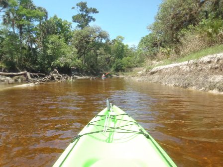 paddling Econlockhatchee River, kayak, canoe