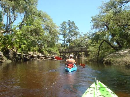 paddling Econlockhatchee River, kayak, canoe