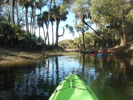 paddling Econlockhatchee River, kayak, canoe