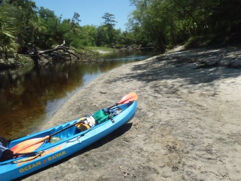 paddling Econlockhatchee River, kayak, canoe