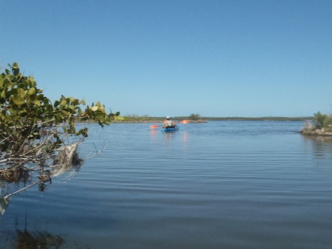 paddle Merritt 
		    Island National Wildlife Refuge, kayak, canoe