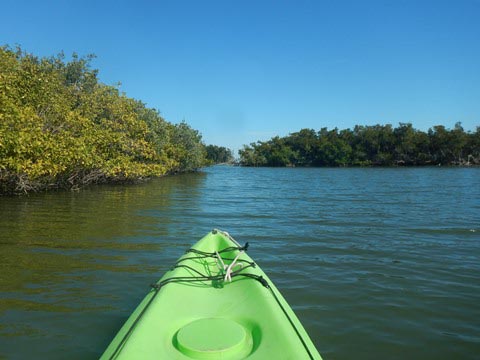 paddling Merritt Island National Wildlife Refuge, kayak, canoe