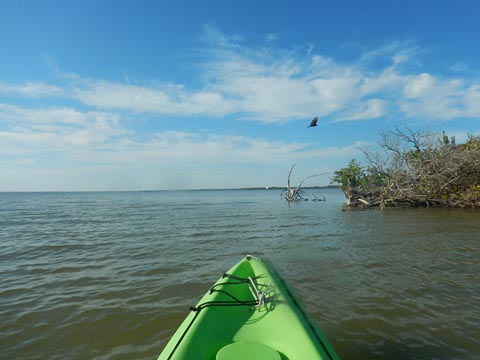 paddling Merritt Island National Wildlife Refuge, kayak, canoe