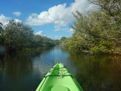 paddling Merritt Island National Wildlife Refuge, kayak, canoe