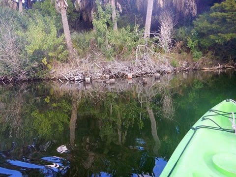 paddling Merritt Island National Wildlife Refuge, kayak, canoe