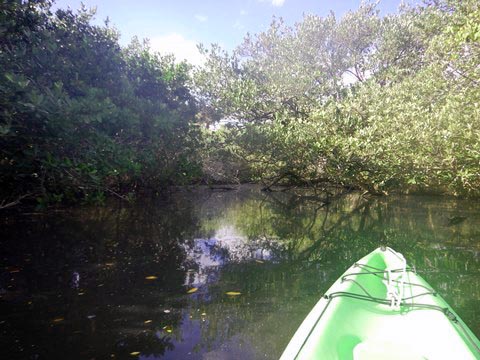 paddling Merritt Island National Wildlife Refuge, kayak, canoe