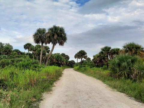 paddling Merritt Island National Wildlife Refuge, kayak, canoe