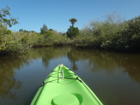 paddling Merritt Island National Wildlife Refuge, kayak, canoe