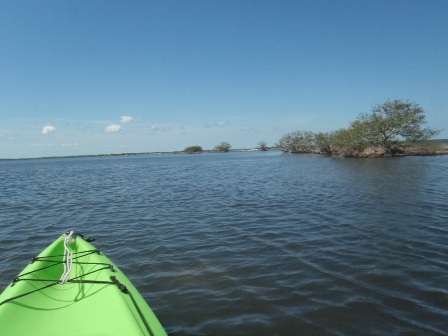 paddling Merritt Island National Wildlife Refuge, kayak, canoe