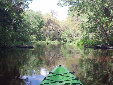 paddle Rock Springs Run