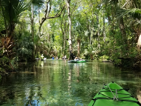 paddling Rock Springs Run, kayak, canoe