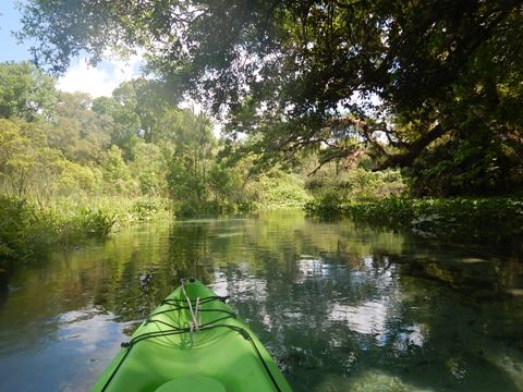 paddling Rock Springs Run, kayak, canoe