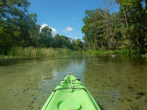 paddling Rock Springs Run, kayak, canoe