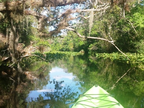 paddling Rock Springs Run, kayak, canoe