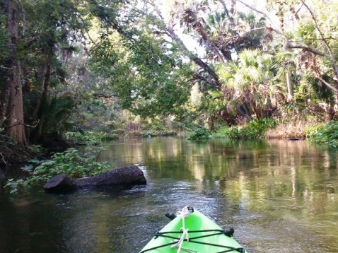 paddling Rock Springs Run, kayak, canoe