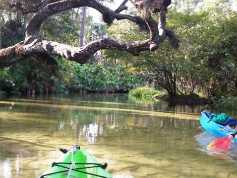 paddling Rock Springs Run, kayak, canoe