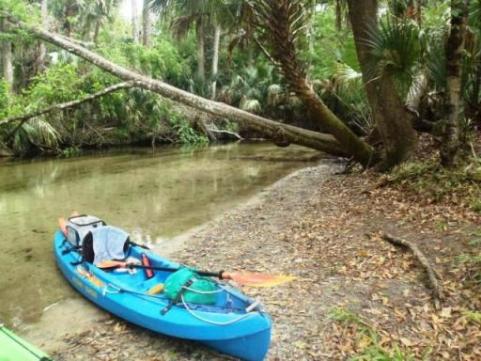 paddling Rock Springs Run, kayak, canoe