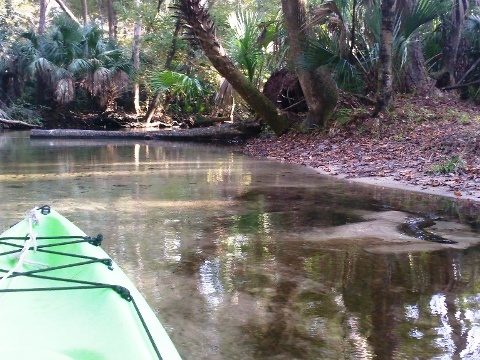 paddling Rock Springs Run, kayak, canoe