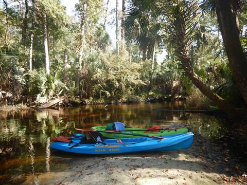 paddling Rock Springs Run, kayak, canoe