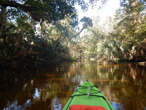 paddling Rock Springs Run, kayak, canoe