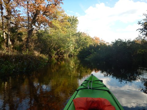 paddling Rock Springs Run, kayak, canoe