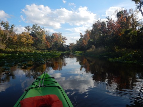 paddling Rock Springs Run, kayak, canoe