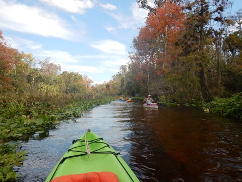 paddling Rock Springs Run, kayak, canoe